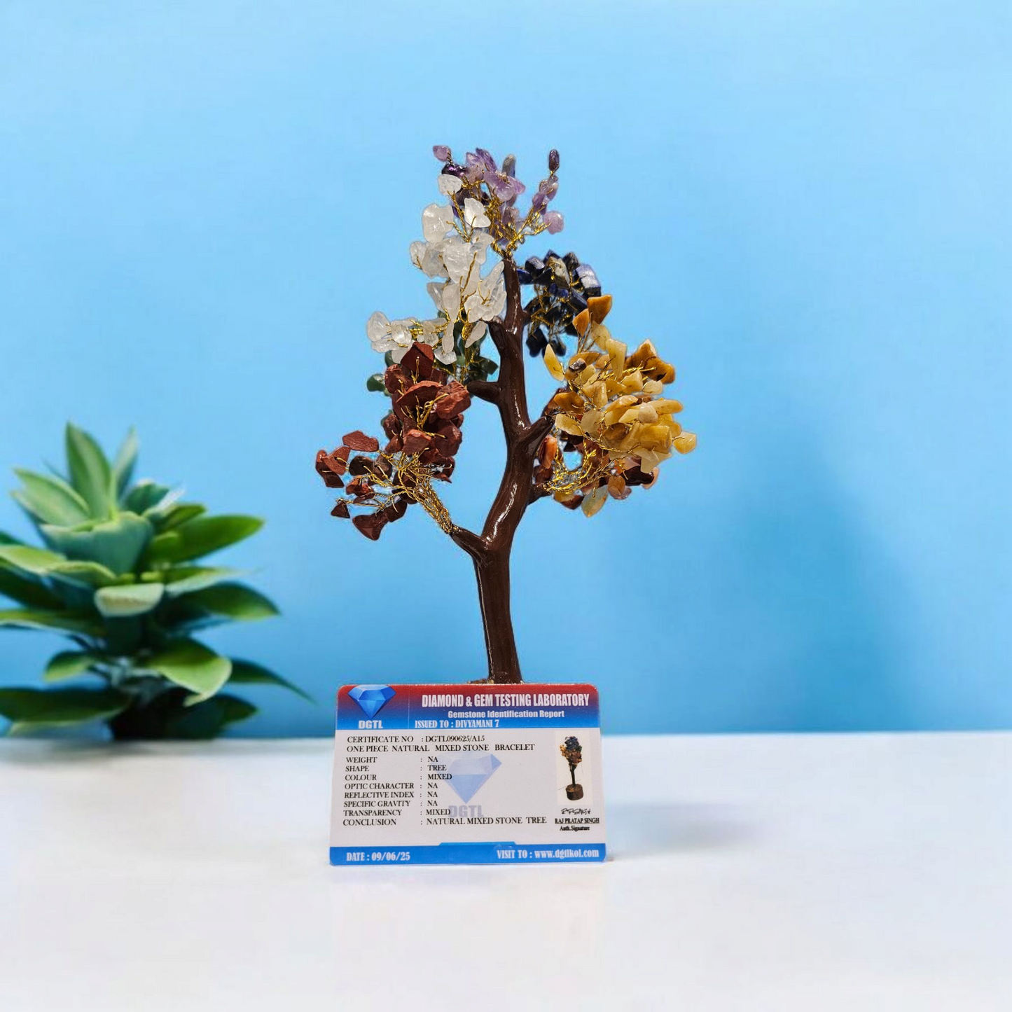 🌳Natural 7 Chakra Gem Stone Tree 350 Gsm